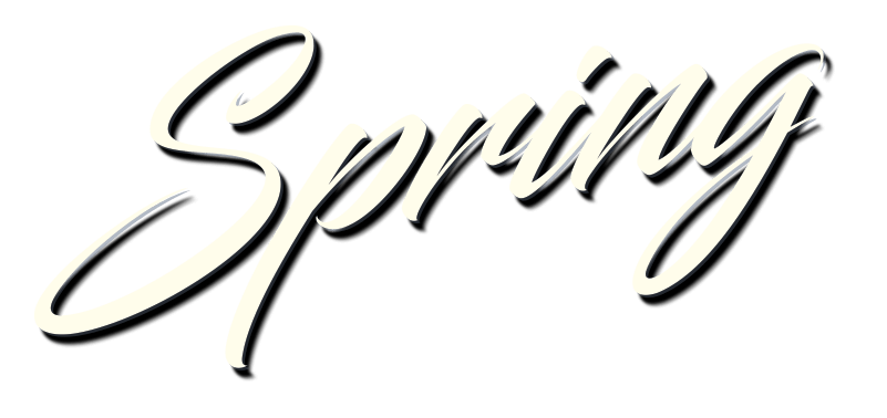spring spring