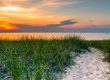 Ways to Enjoy a Michigan June